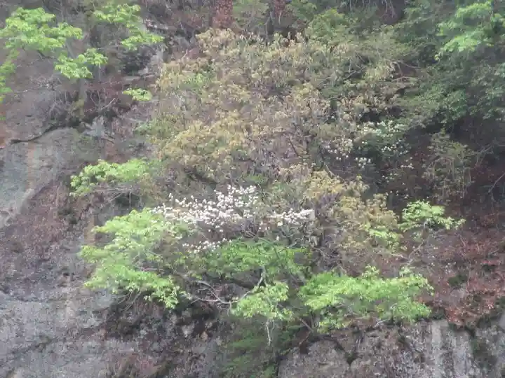 観音院(埼玉県)