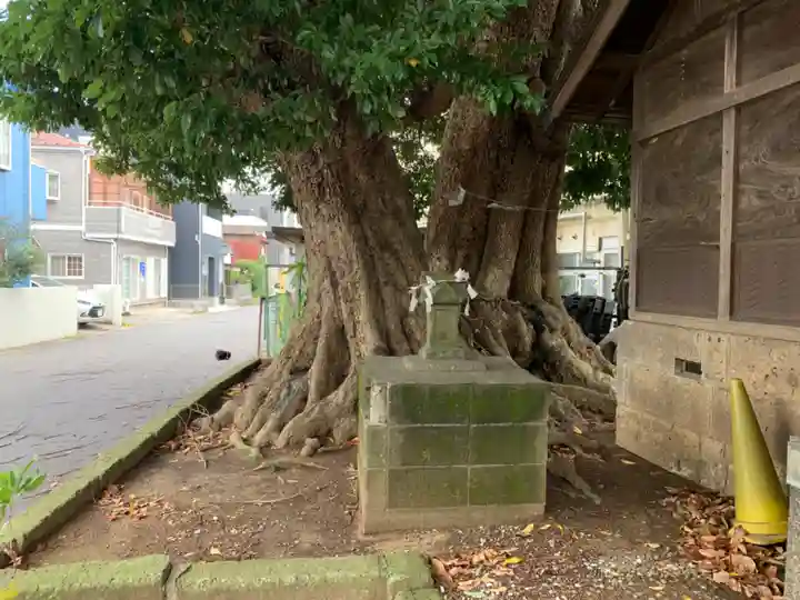 白旗神社(千葉県)