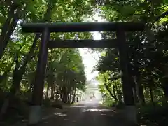 網走神社の鳥居