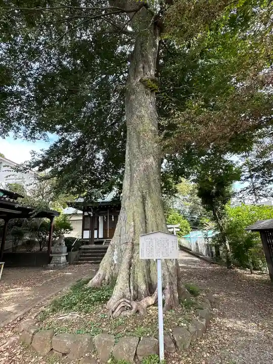 白山神社(東京都)