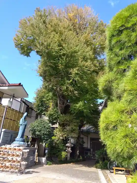 自性院(東京都)