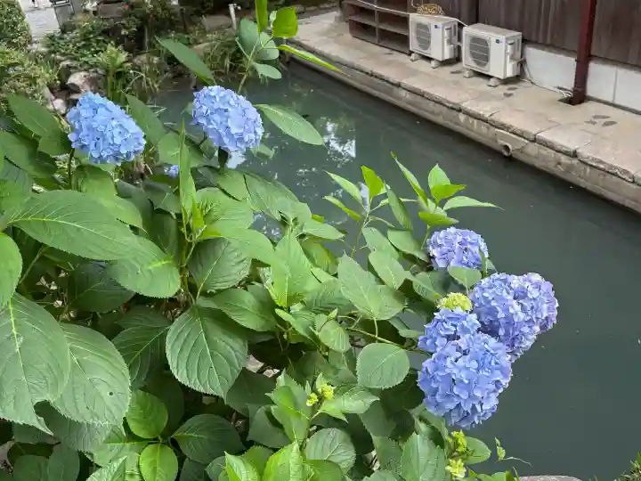 頼光寺(兵庫県)