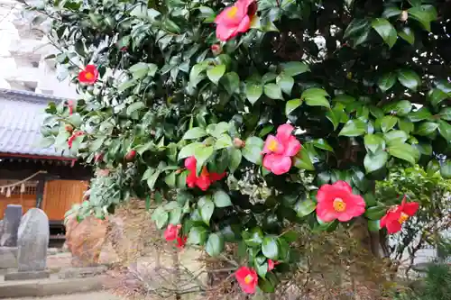 晴門田神社の自然