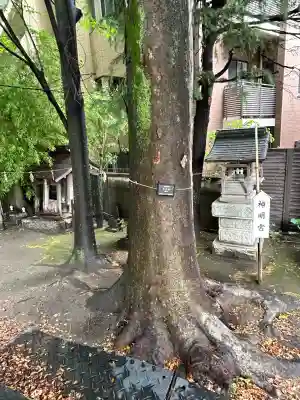 亀有香取神社(東京都)