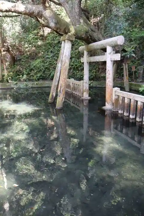 鹿島神宮(茨城県)