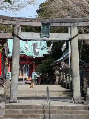 海南神社(神奈川県)