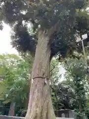 岩槻久伊豆神社(埼玉県)