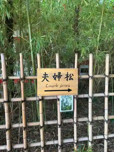 自由が丘熊野神社の{uncategorized: "未分類", other: "その他", undefined: "問題あり", building: "その他建物", grave: "お墓", sacred_gate: "鳥居", guardian: "狛犬", statue: "像", buddha: "仏像", history: "歴史", nature: "自然", garden: "庭園", animal: "動物", pagoda: "塔", temizu: "手水舎", mountain_gate: "山門・神門", sanctuary: "本殿・本堂", subordinate: "末社・摂社", art: "芸術", scenery: "景色", jizo: "地蔵", ema: "絵馬", goshuin: "御朱印", omikuji: "おみくじ", items: "授与品その他", amulet: "お守り", goshuincho: "御朱印帳", eats: "食事", festival: "お祭り", votive_dance: "神楽", shichigosan: "七五三参", wedding: "結婚式", experience: "体験その他", initially: "初詣", around: "周辺", anti_infection: "感染症対策"}