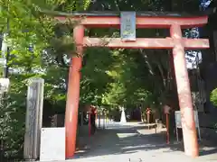 赤城神社の鳥居