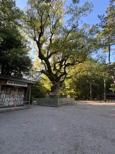 熱田神宮(愛知県)