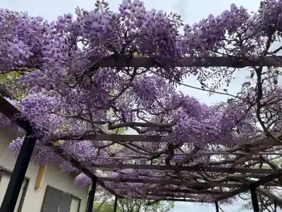 原谷弁財天(京都府)