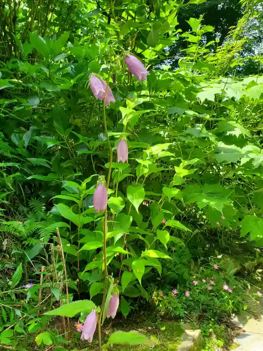 石都々古和気神社の自然