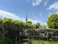 亀戸天神社(東京都)