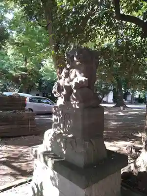 小金井神社の狛犬