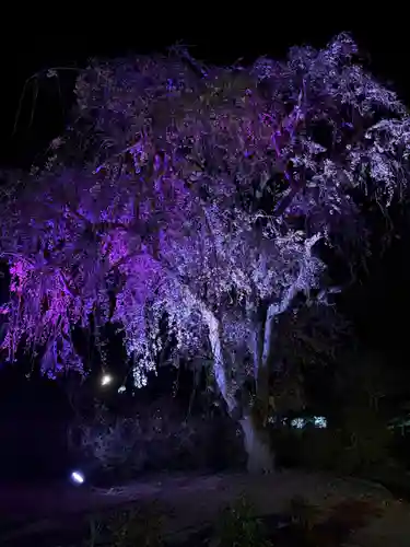 金蛇水神社(宮城県)
