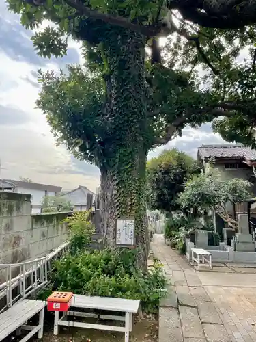 佛心寺(東京都)