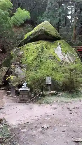 名草厳島神社の自然