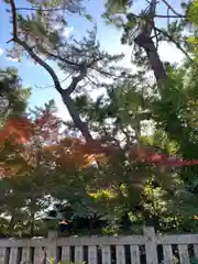 阿部野神社の建物その他