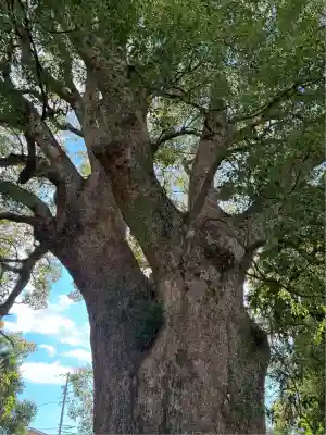 伊勢神明社(静岡県)
