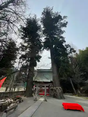 雲八幡宮の自然