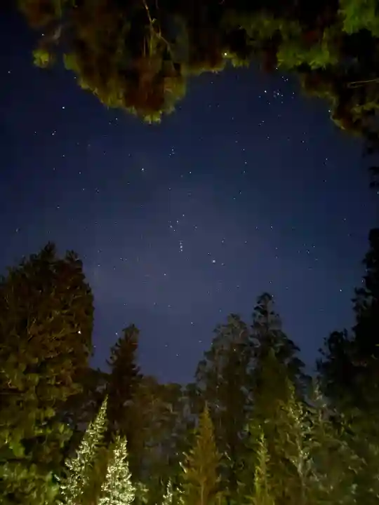 高野山金剛峯寺奥の院(和歌山県)