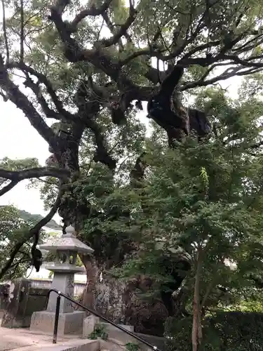 與止日女神社の自然