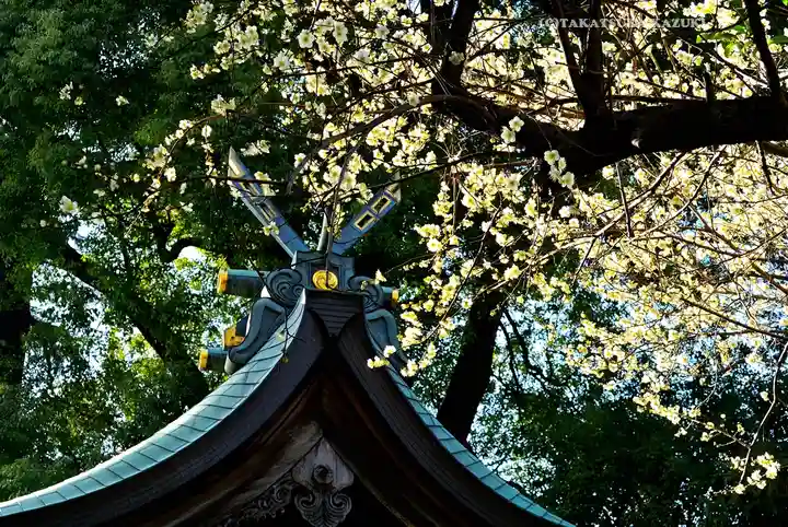 鳩ヶ谷氷川神社(埼玉県)
