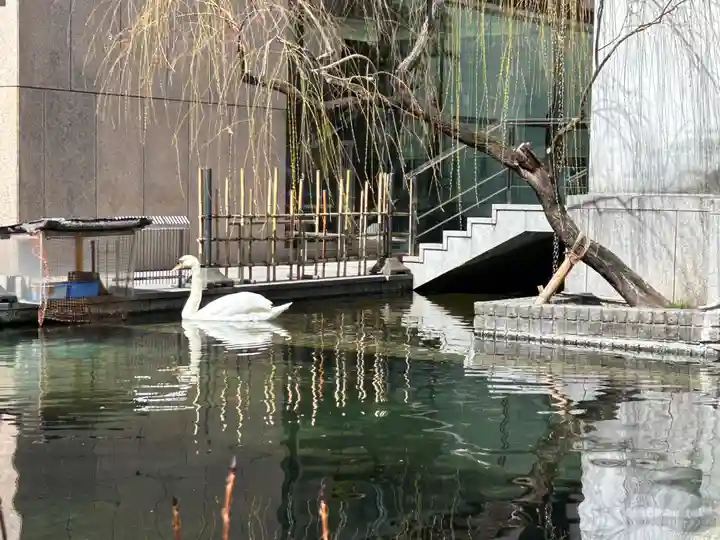 頂法寺(六角堂)(京都府)