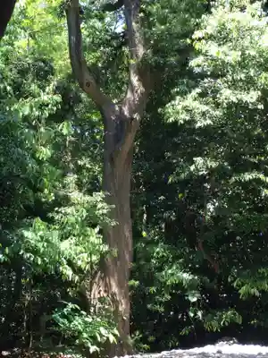 志宝屋神社(豊受大神宮末社)の自然