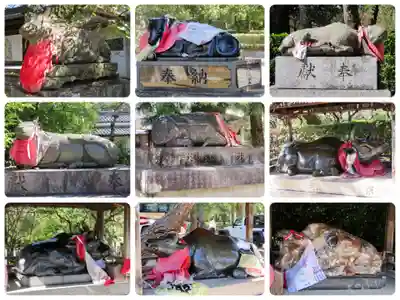 北野天満宮の狛犬