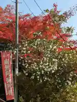 石内のお大師さん 金剛院(広島県)