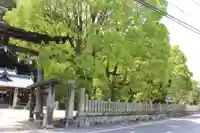 日吉神社の周辺
