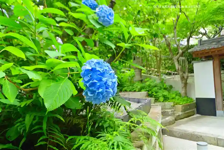 岩殿寺(神奈川県)
