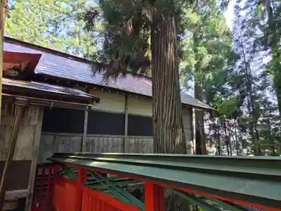 東山白山神社(岐阜県)