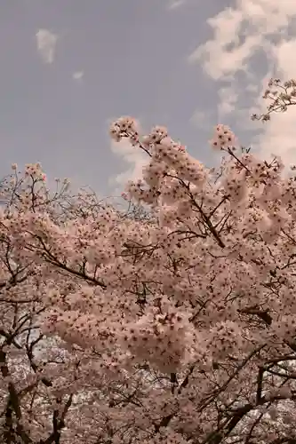 久妙寺(愛媛県)