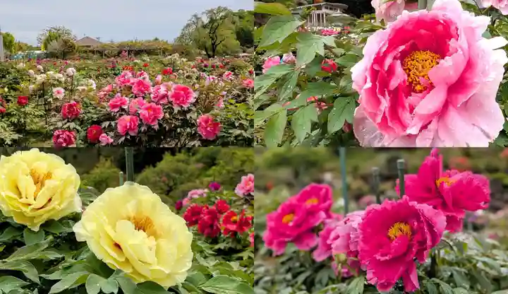 金蛇水神社(宮城県)
