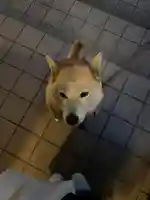 笠䅣稲荷神社(神奈川県)