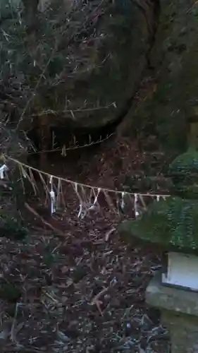 室山熊野神社の自然