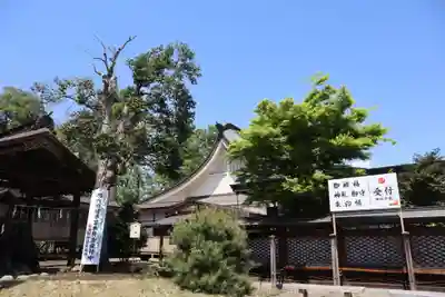 須賀神社のその他建物