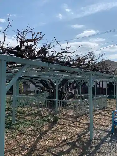 菖蒲神社の自然