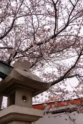 荒井神社の自然