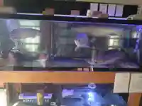 光明寺(埼玉県)