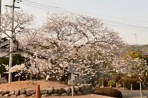 実報寺(愛媛県)