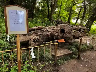 泉神社(茨城県)