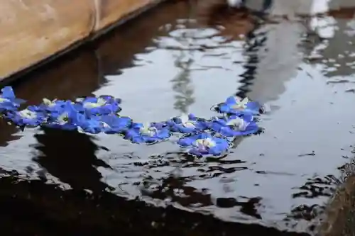 上尾御嶽神社の手水