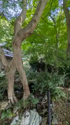 長安寺(滋賀県)