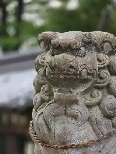 廣田神社の狛犬