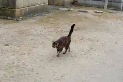 光明寺(広島県)