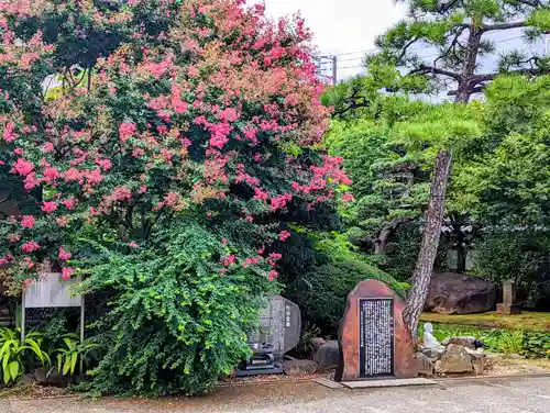 感通寺の庭園