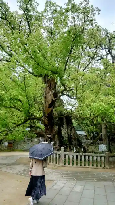 大山祇神社(愛媛県)